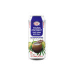 Ice Cool - Young Coconut Can Drink (500ml) (24/carton)