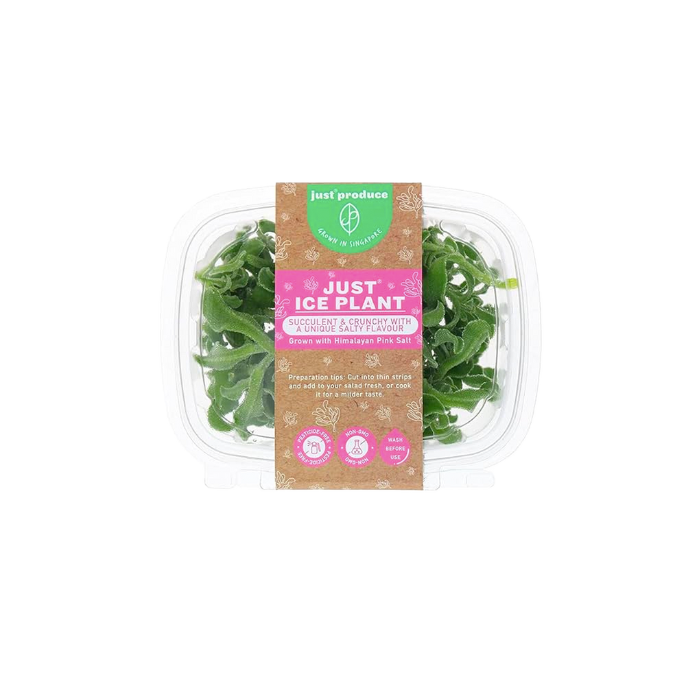 JP -  Ice Plant (500g)