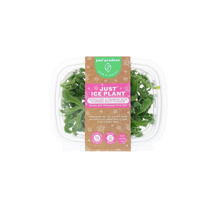 JP -  Ice Plant (500g)